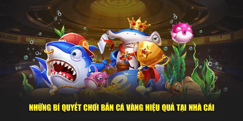 Những bí quyết trải nghiệm tựa game hiệu quả tại nhà cái
